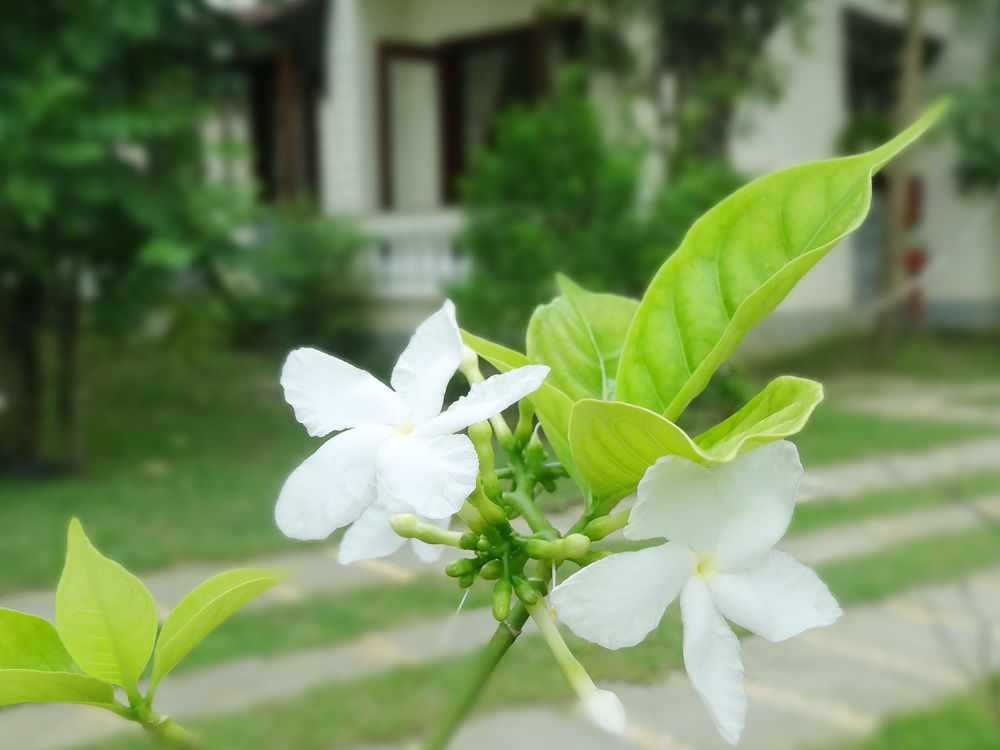 Hoi An Memority Villas & Spa Экстерьер фото